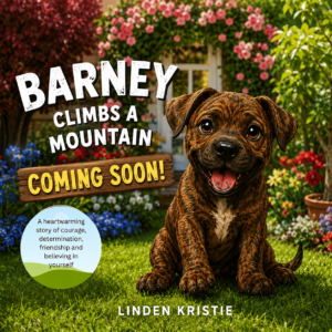 Barney Climbs a Mountain - Hardback
